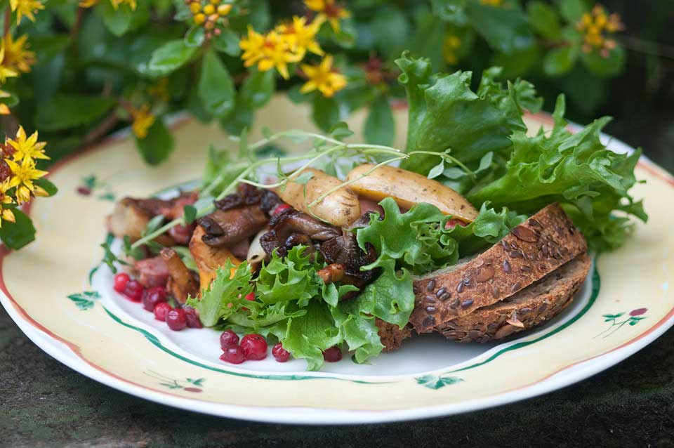 Smørbrød fra markens grøde med Vestfoldsalat