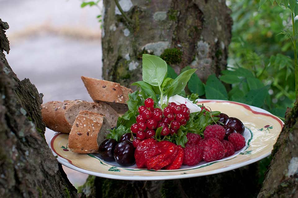 Oppskrift: Vestfoldsalat med skogsbær og chevre